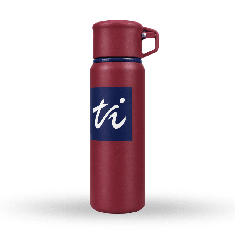 Insulated bottle with carrying strap