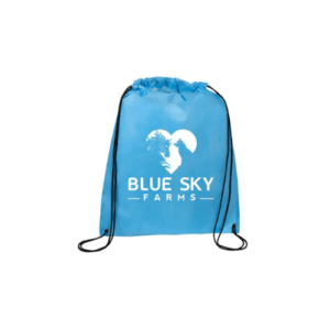 Promo Colorful Non-Woven Drawstring Backpack